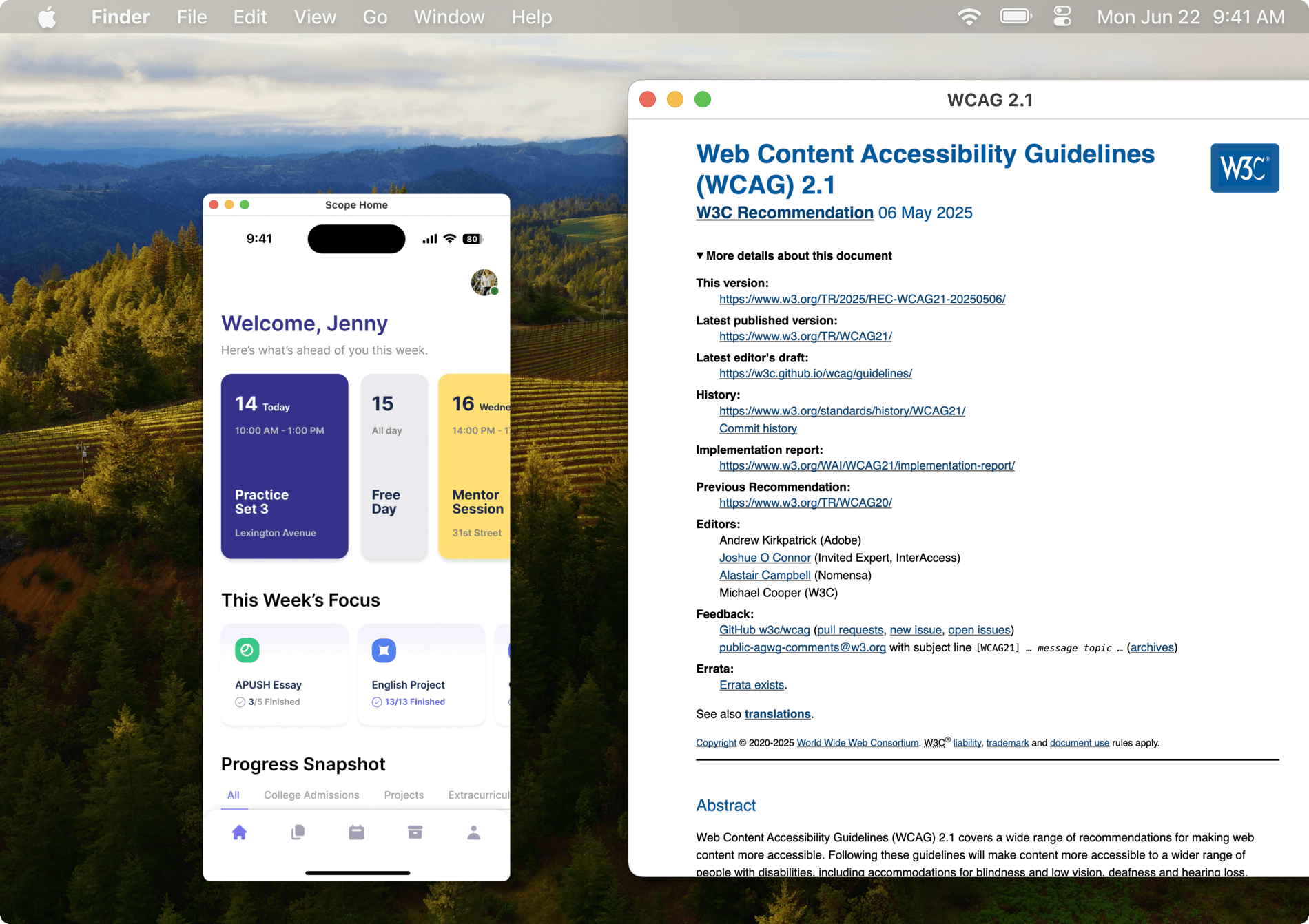 WCAG 2.1 accessibility audit reference next to Scope home screen